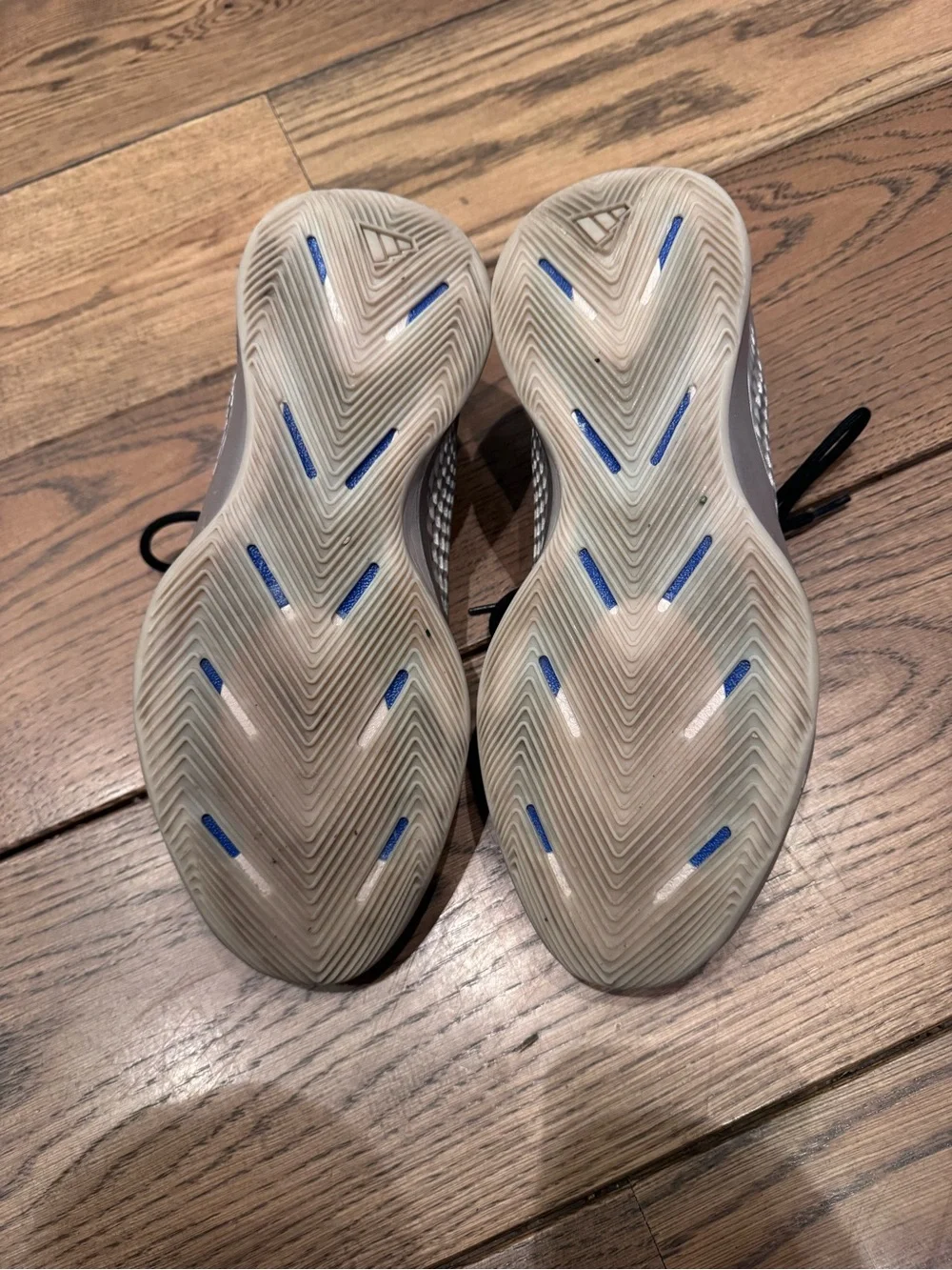adidas anthony edward’s